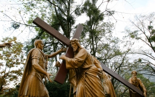 215-Lourdes 2023-5241